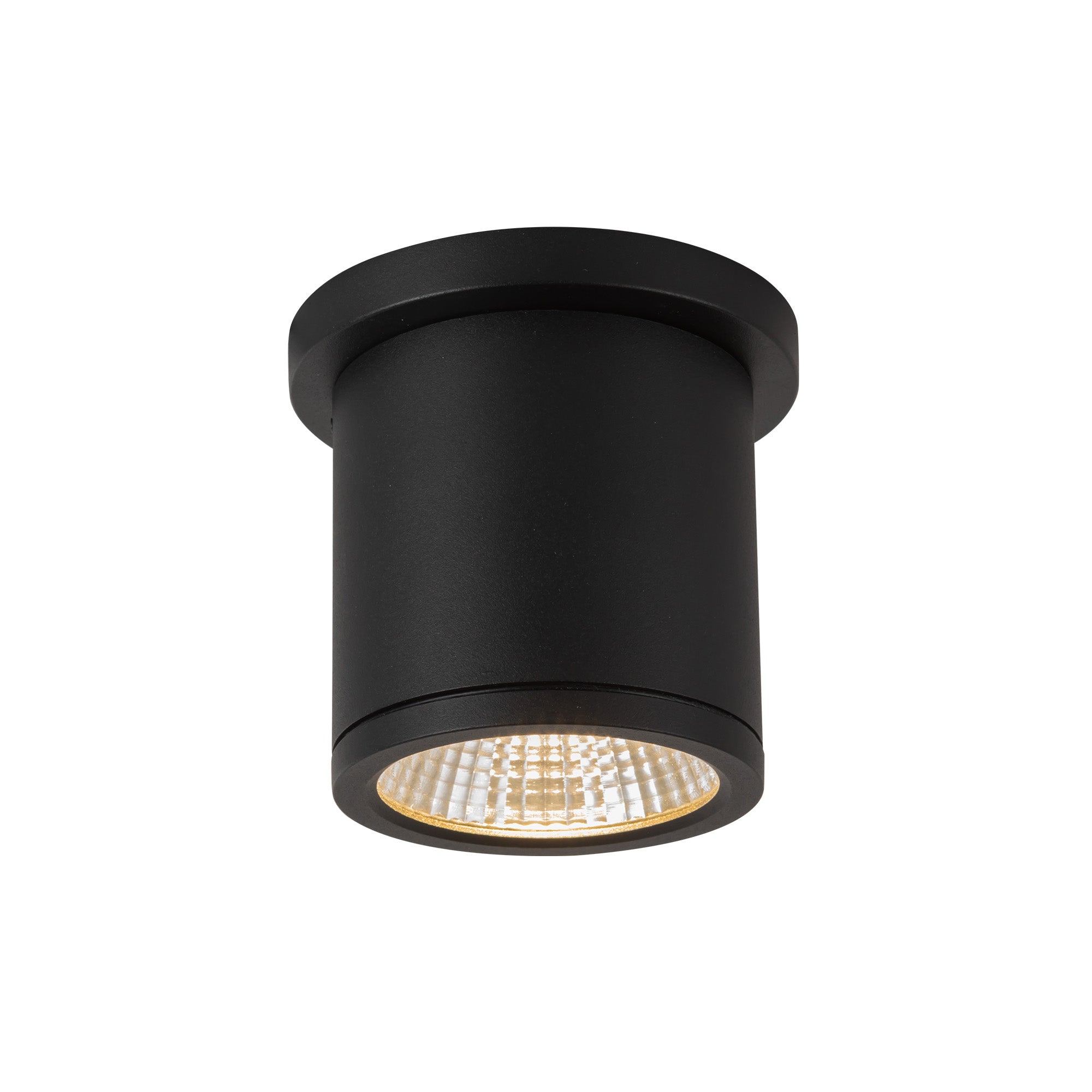 Nordic 4" (3" Dia.) LED Exterior Ceiling