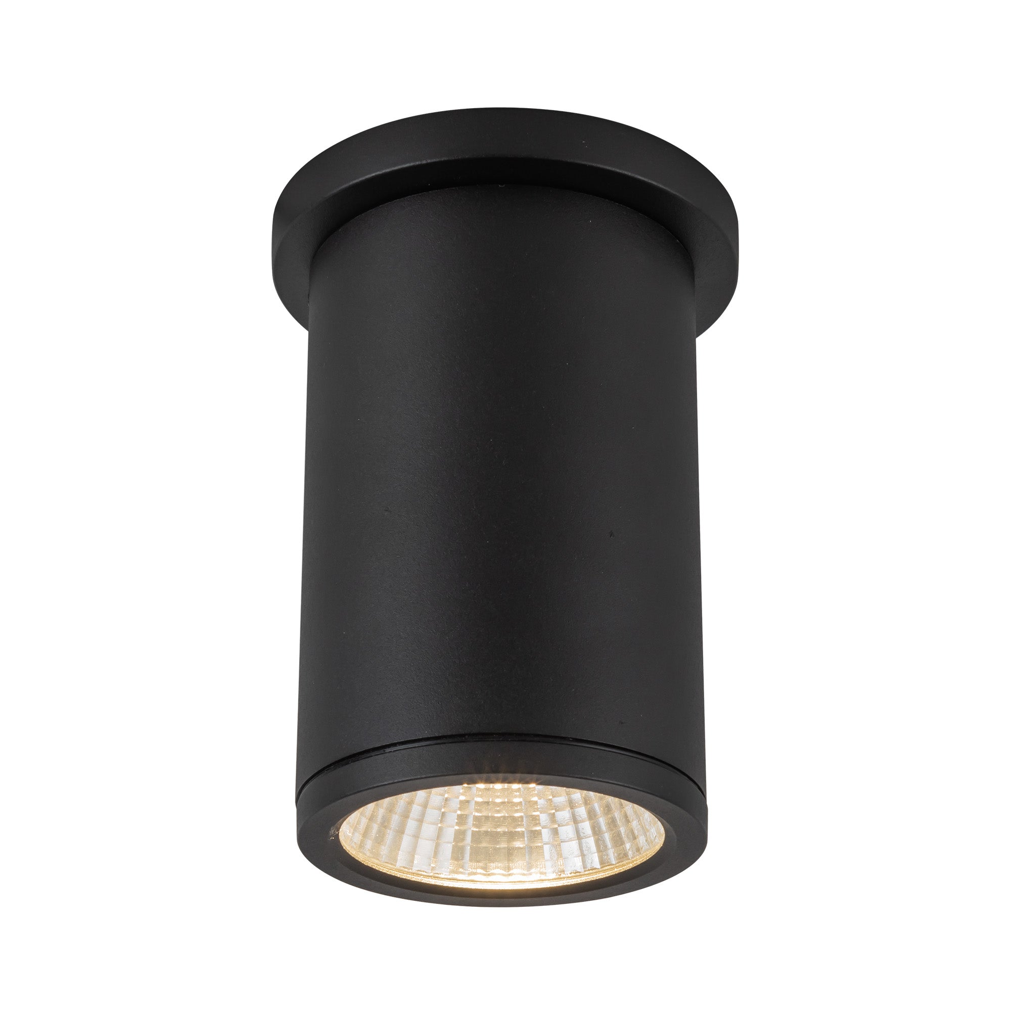 Nordic 6" (3" Dia.) LED Exterior Ceiling