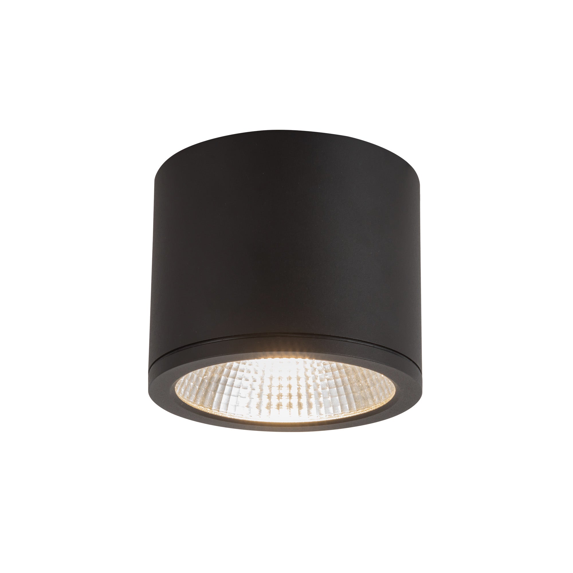 Nordic 4" (5" Dia.) LED Exterior Ceiling