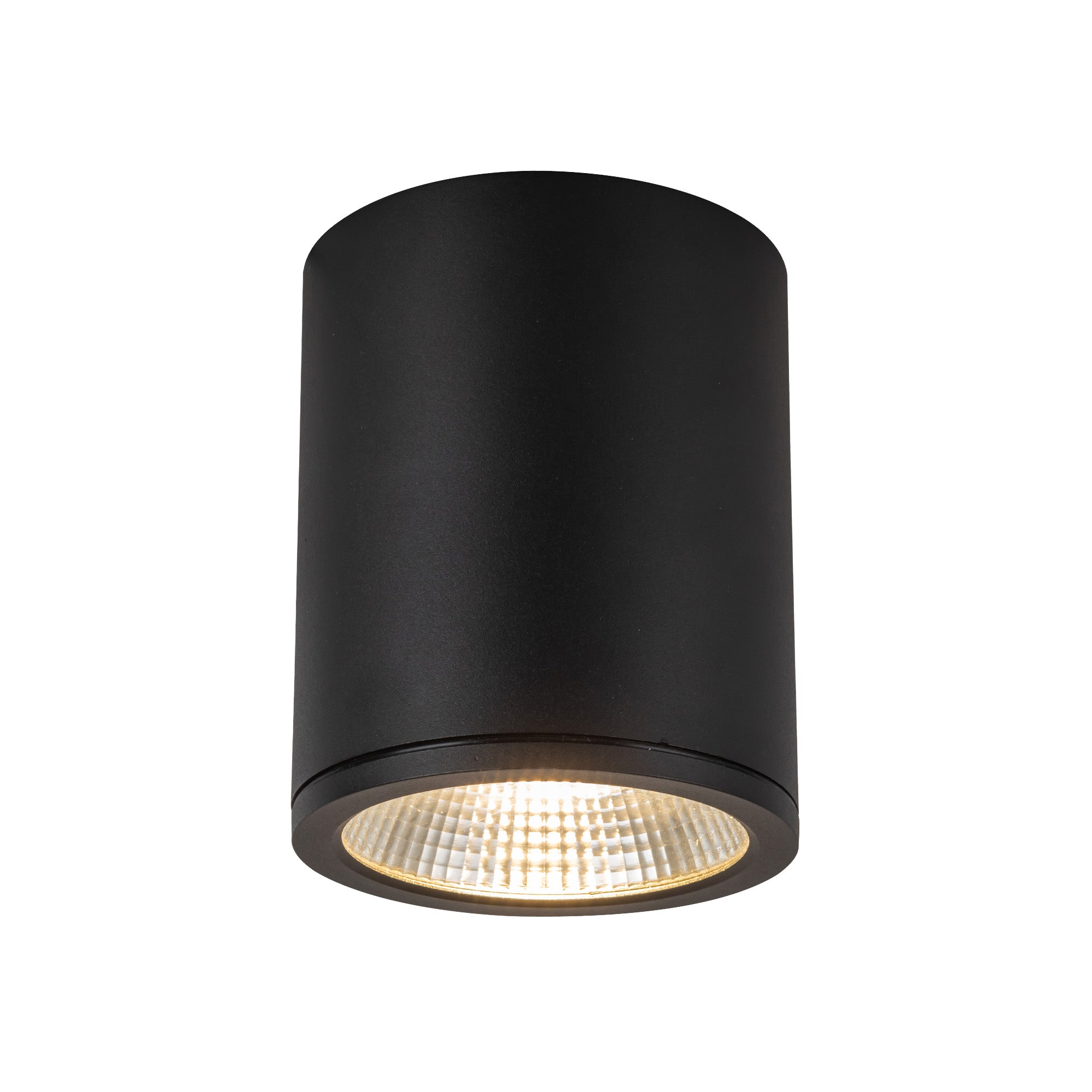 Nordic 6" (5" Dia.) LED Exterior Ceiling
