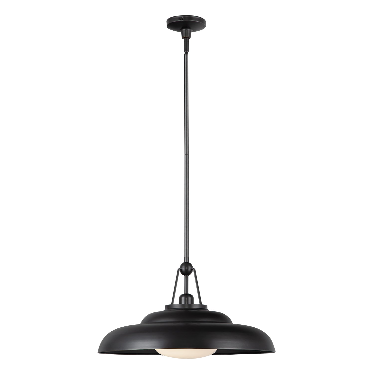 Palmetto 20" 1 Light Pendant
