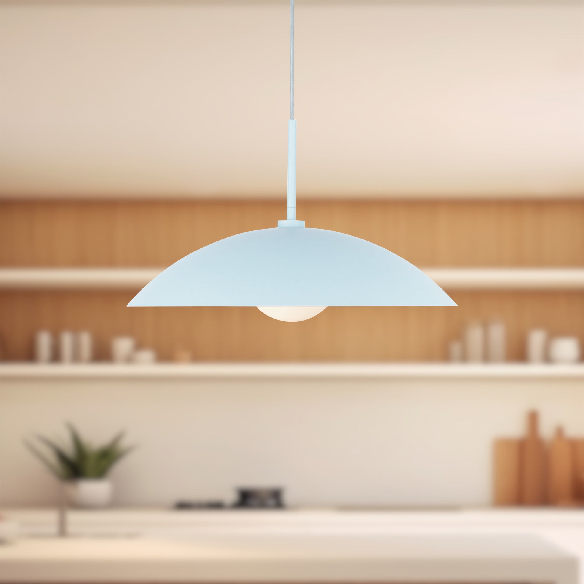 Regent 19" Socket Pendant