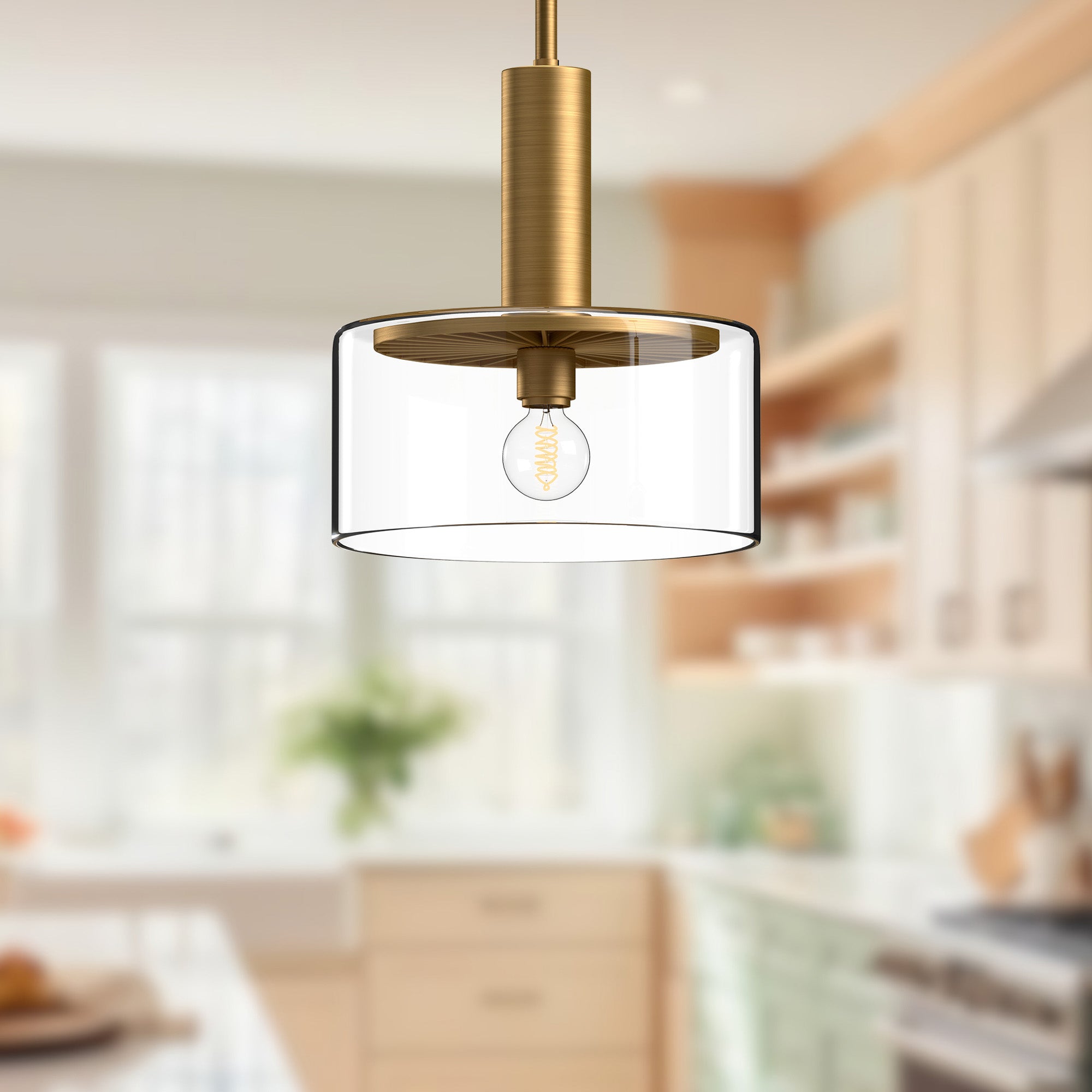 Royale 10" 1 Light Pendant