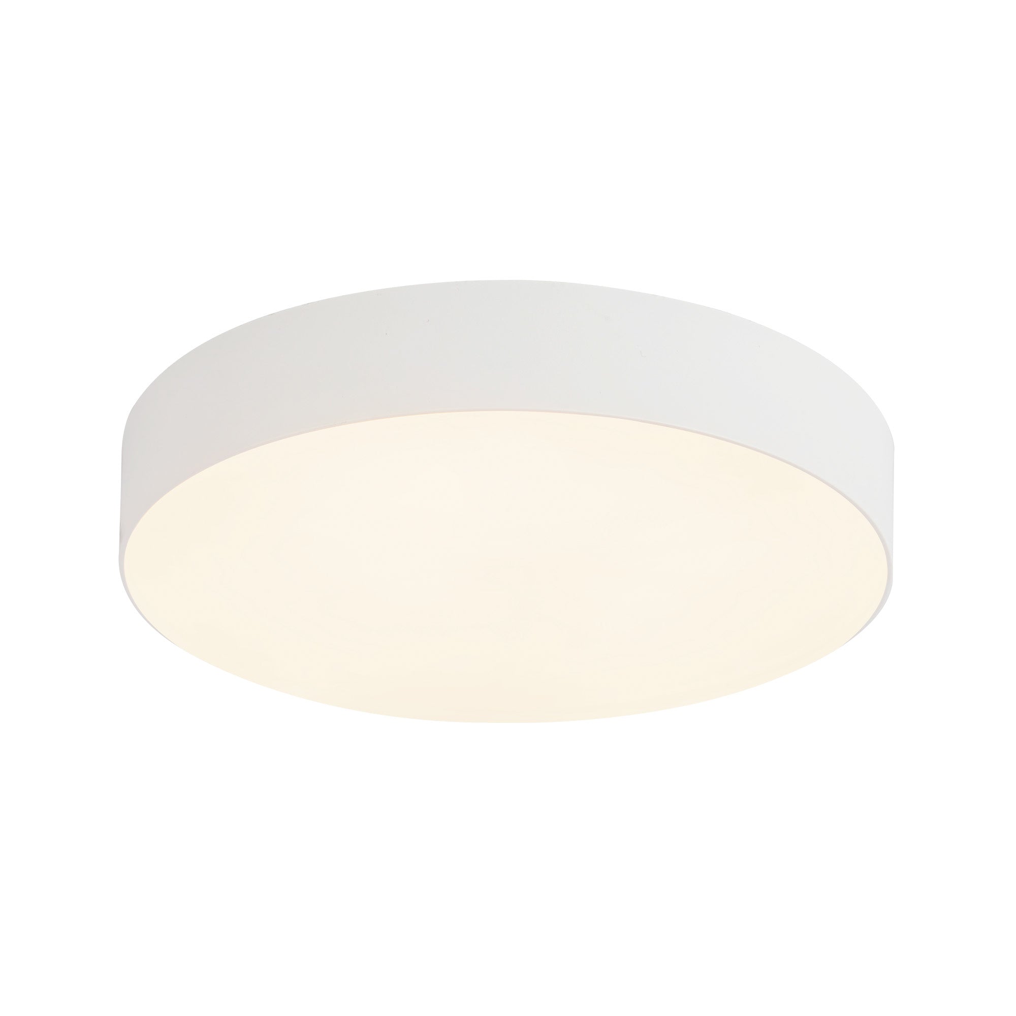 Rynn 5" dimmable LED Flush Mount