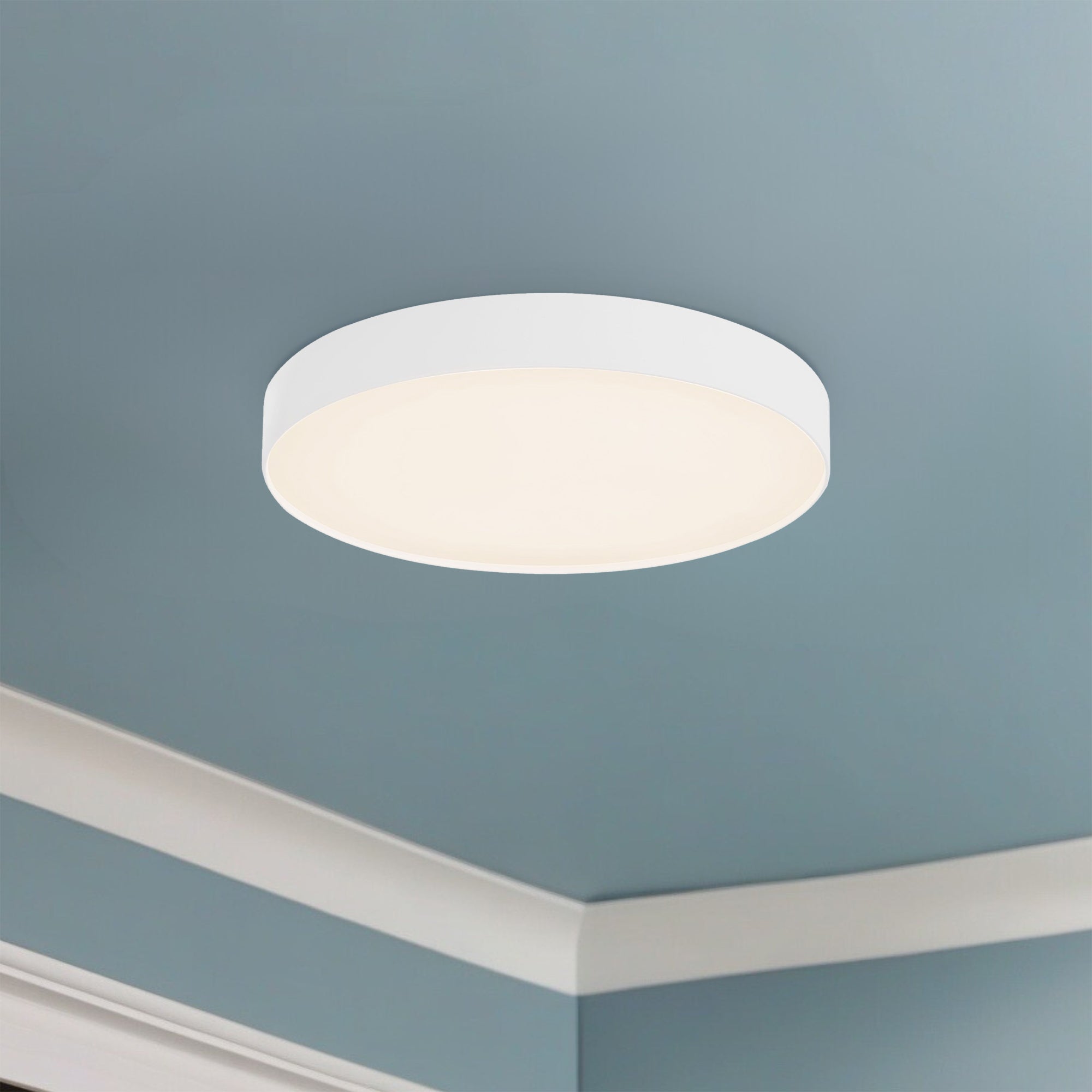 Rynn 7" dimmable LED Flush Mount