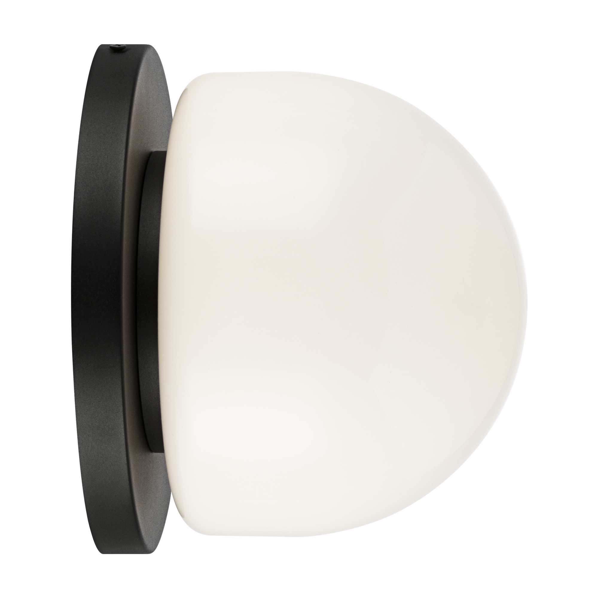 Pizzazz Wall Sconce