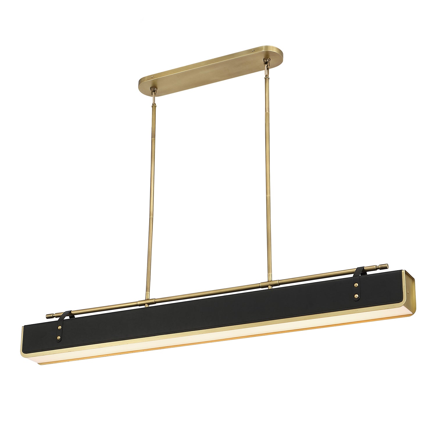Valise 60" LED Pendant