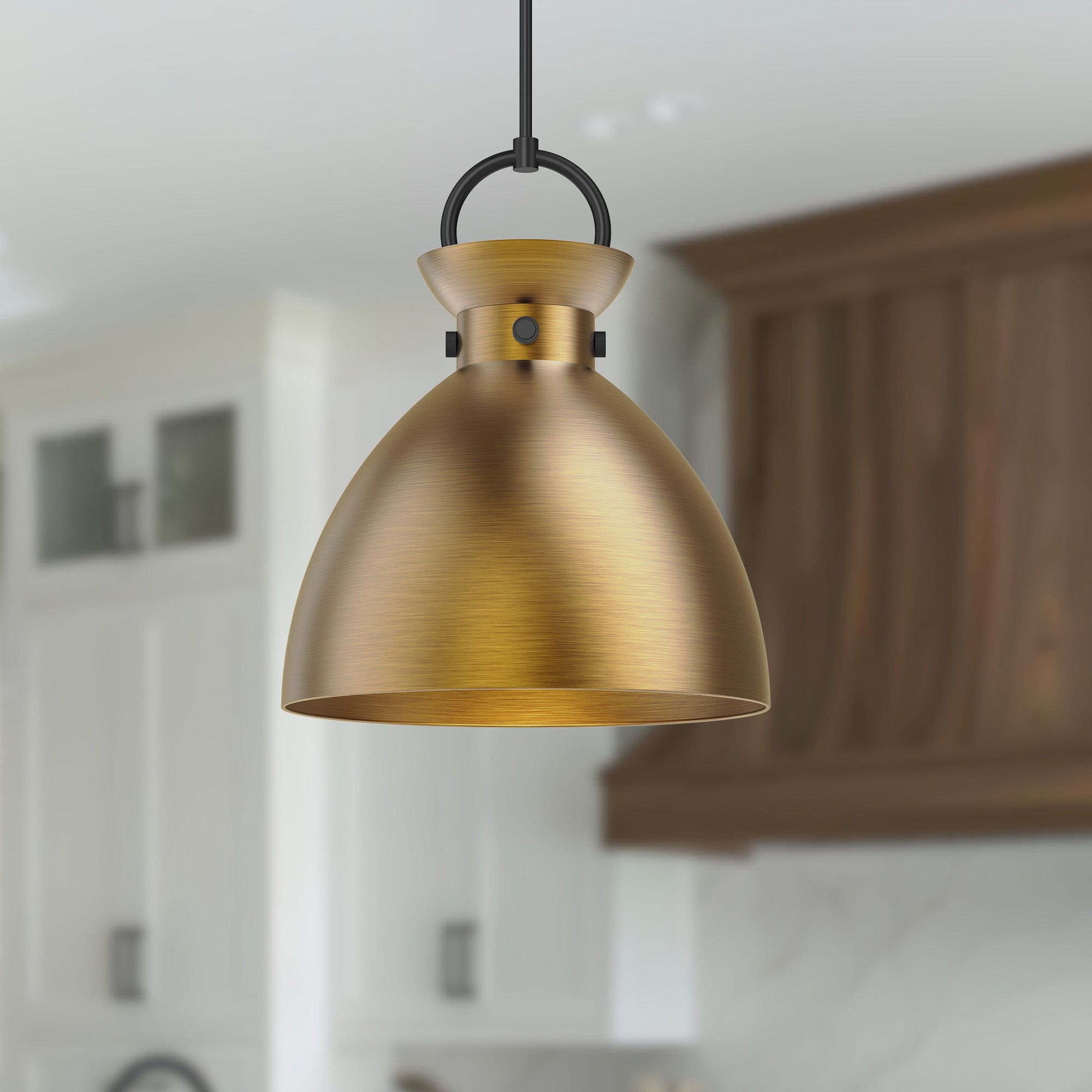 Waldo 18" 1 Light Pendant