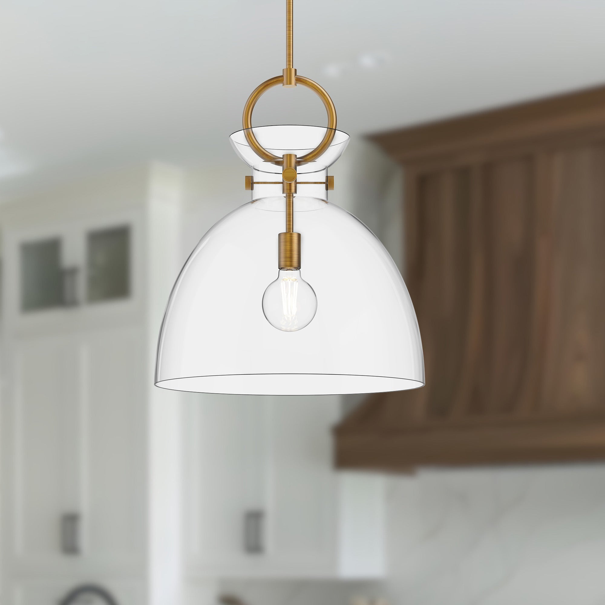 Waldo 18" 1 Light Pendant