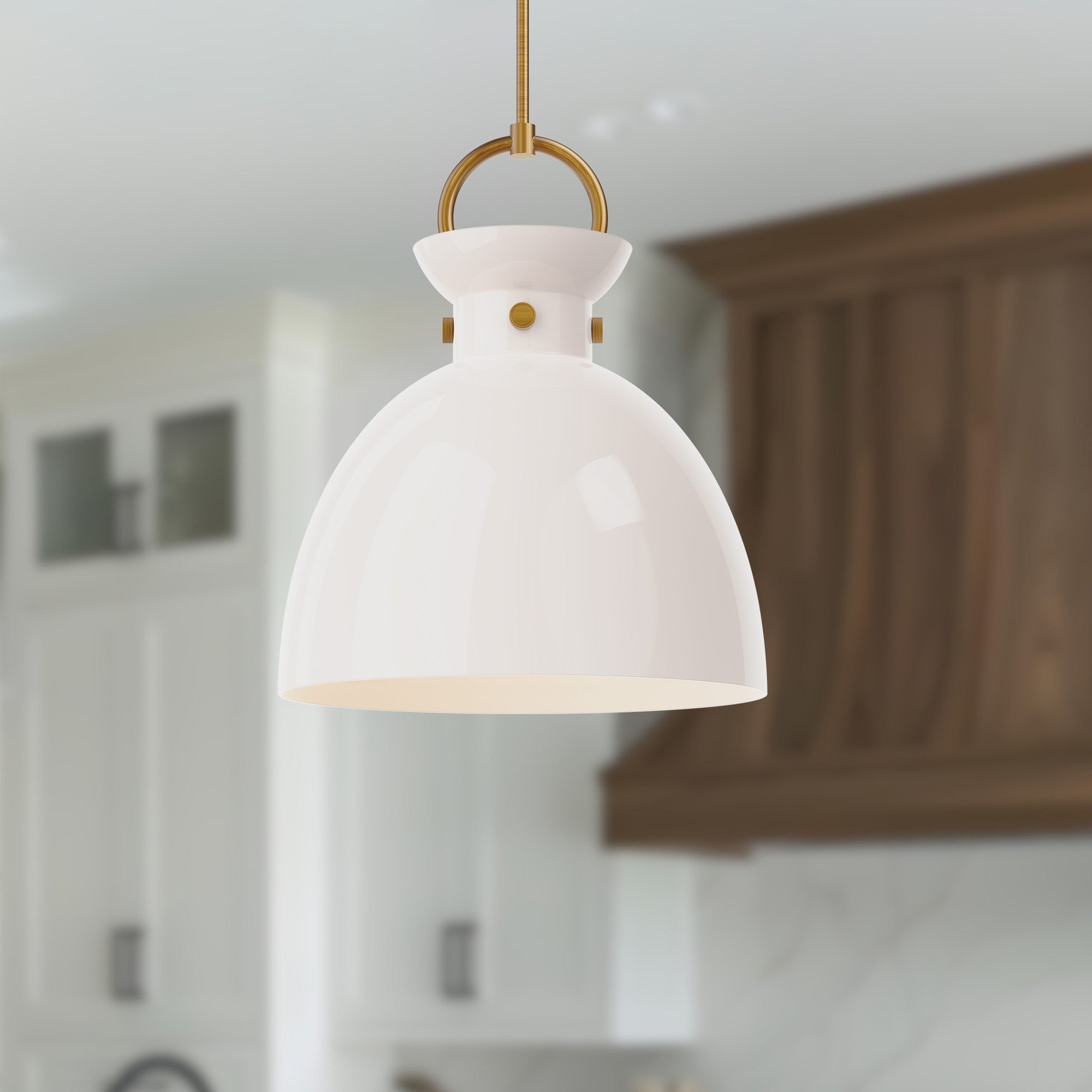 Waldo 18" 1 Light Pendant