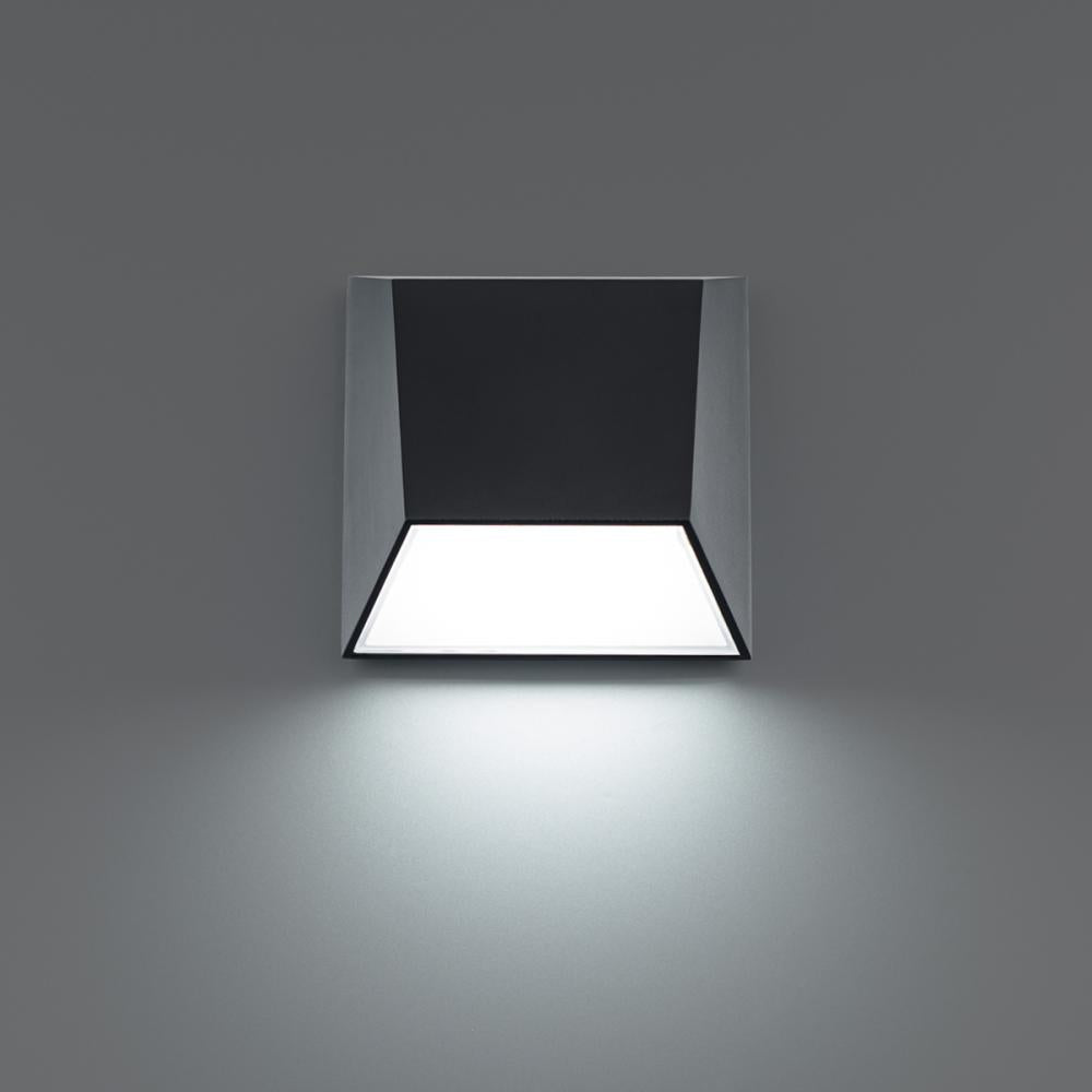 Atlantis Wall Light