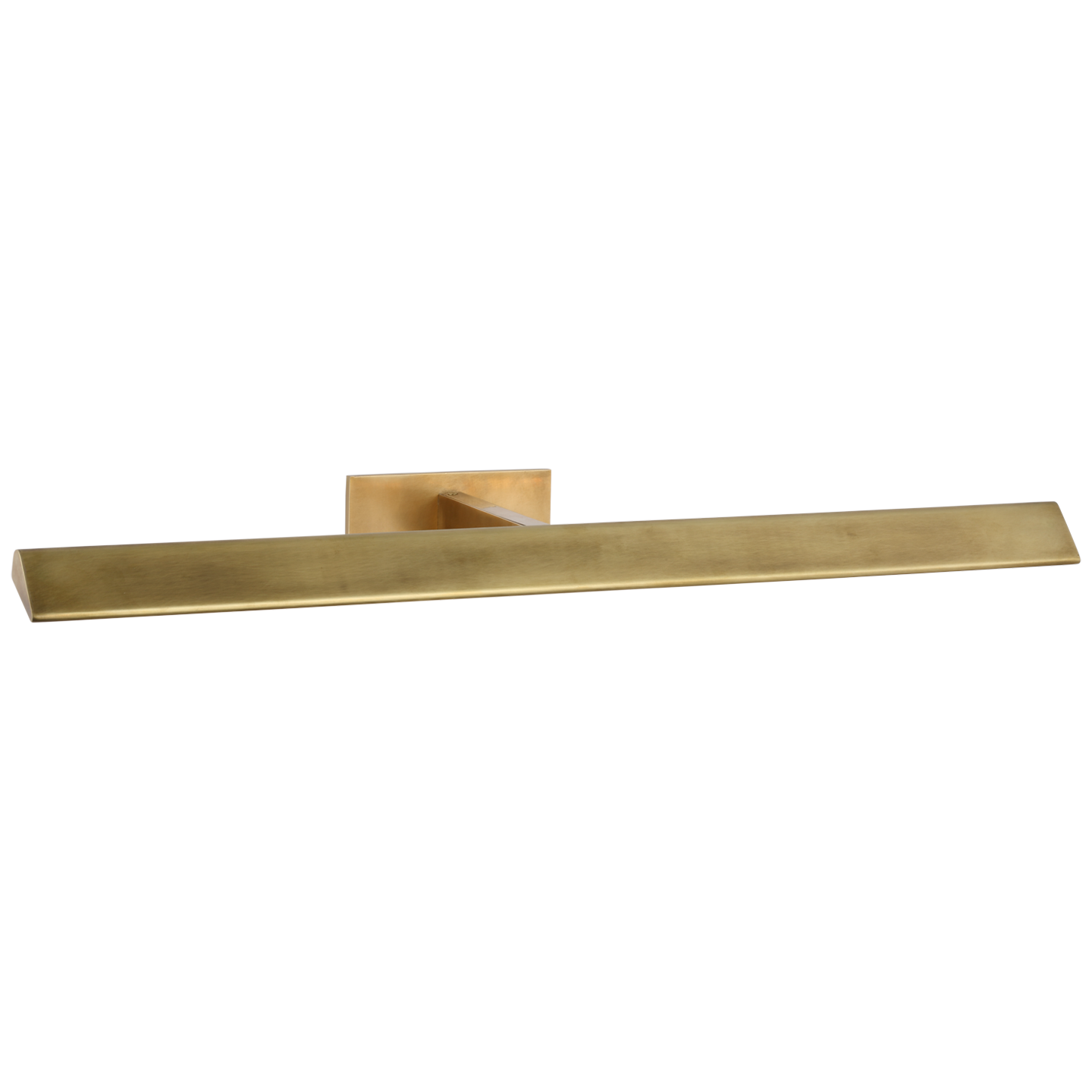 Petrel Picture Light