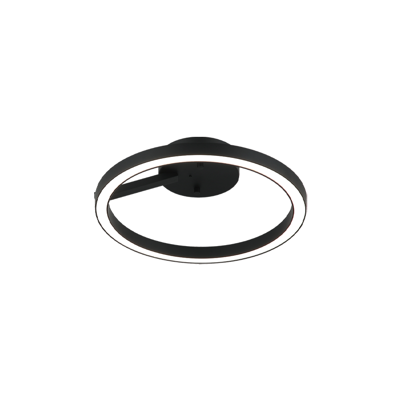 The Trundle Ceiling Mount