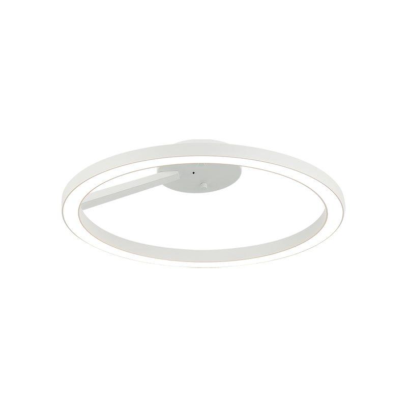 The Trundle Ceiling Mount