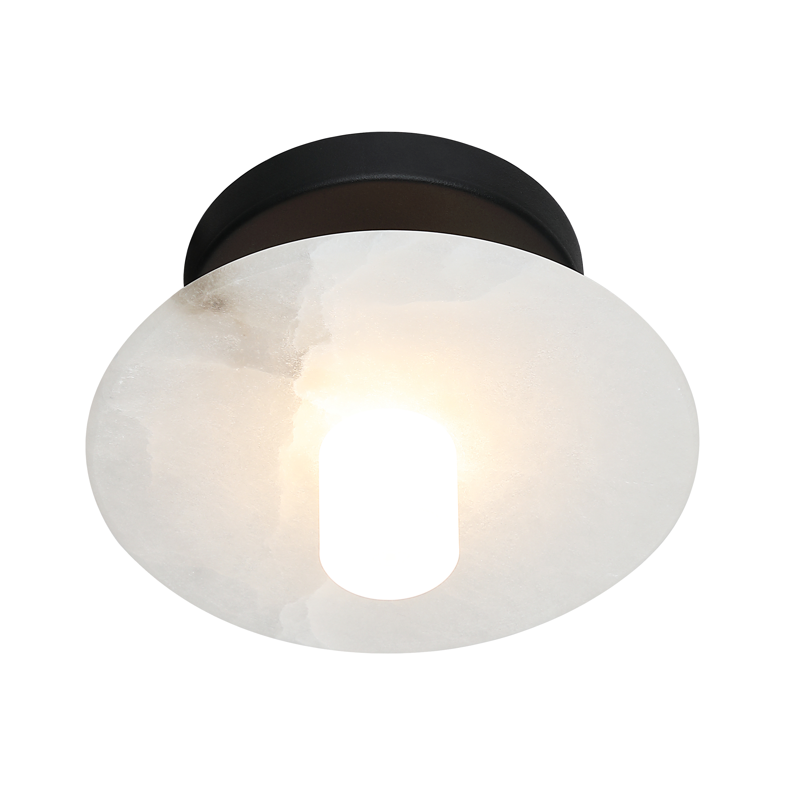 Monument Wall Sconce/Ceiling Mount 1 Light Pendant