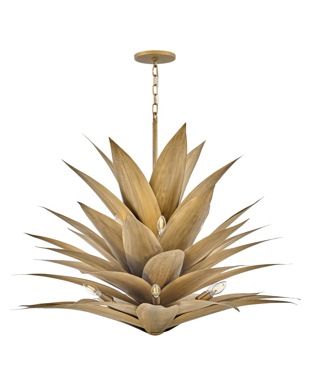 Agave Multi Tier