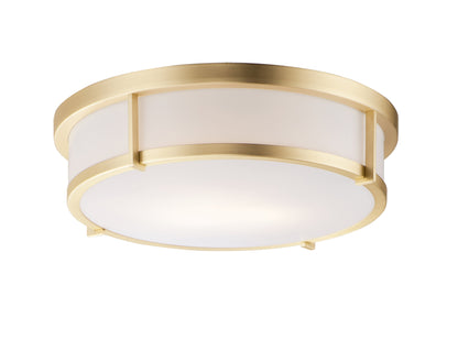 Rogue E26 Flush Mount