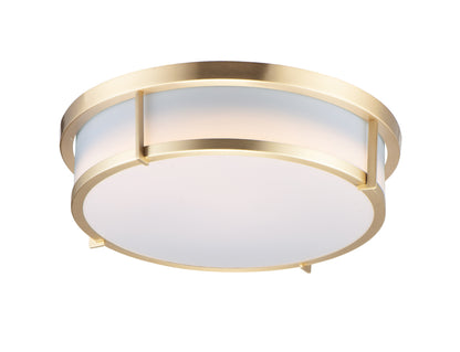 Rogue LED Flush Mount