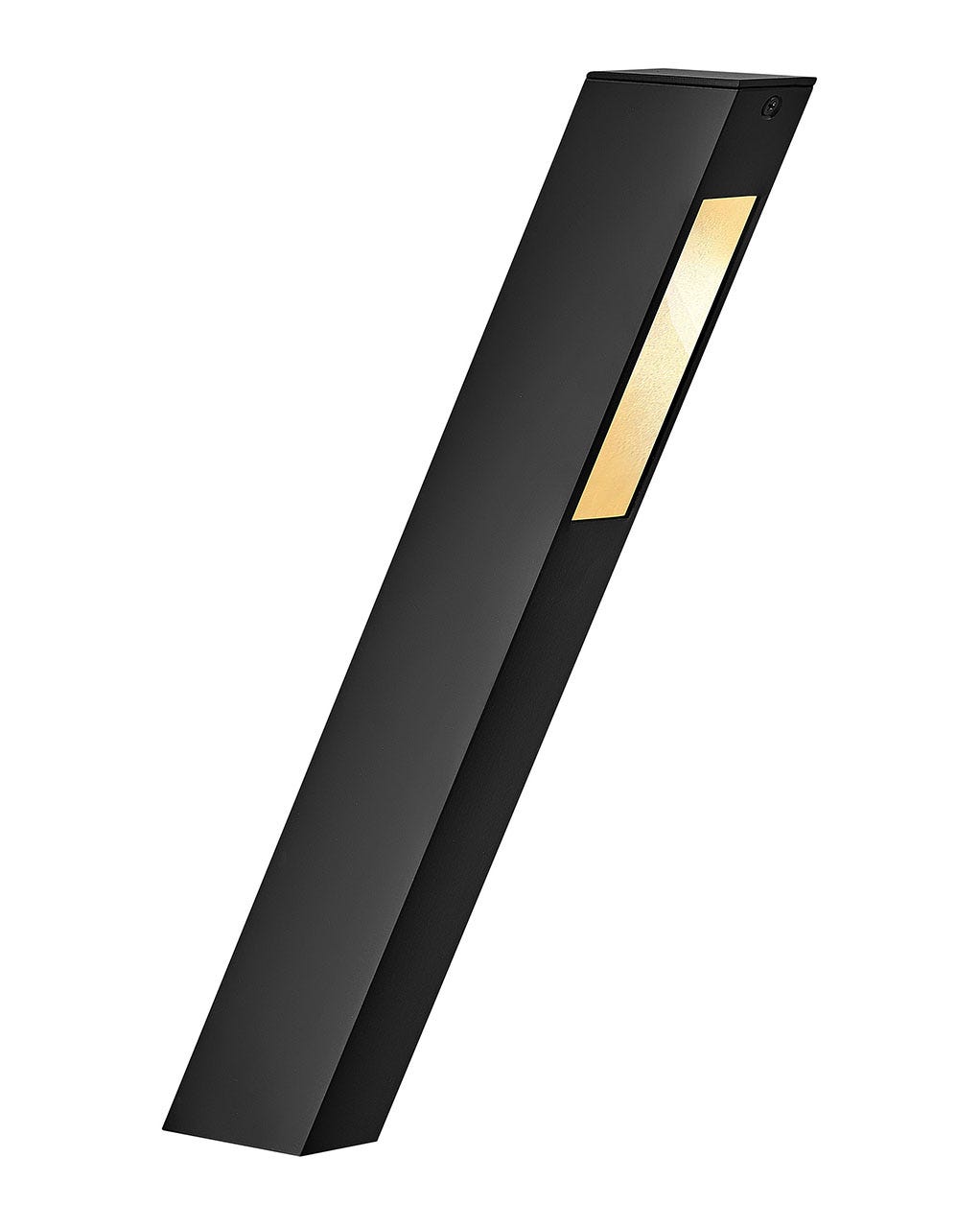 Piza 12V LED Path Light