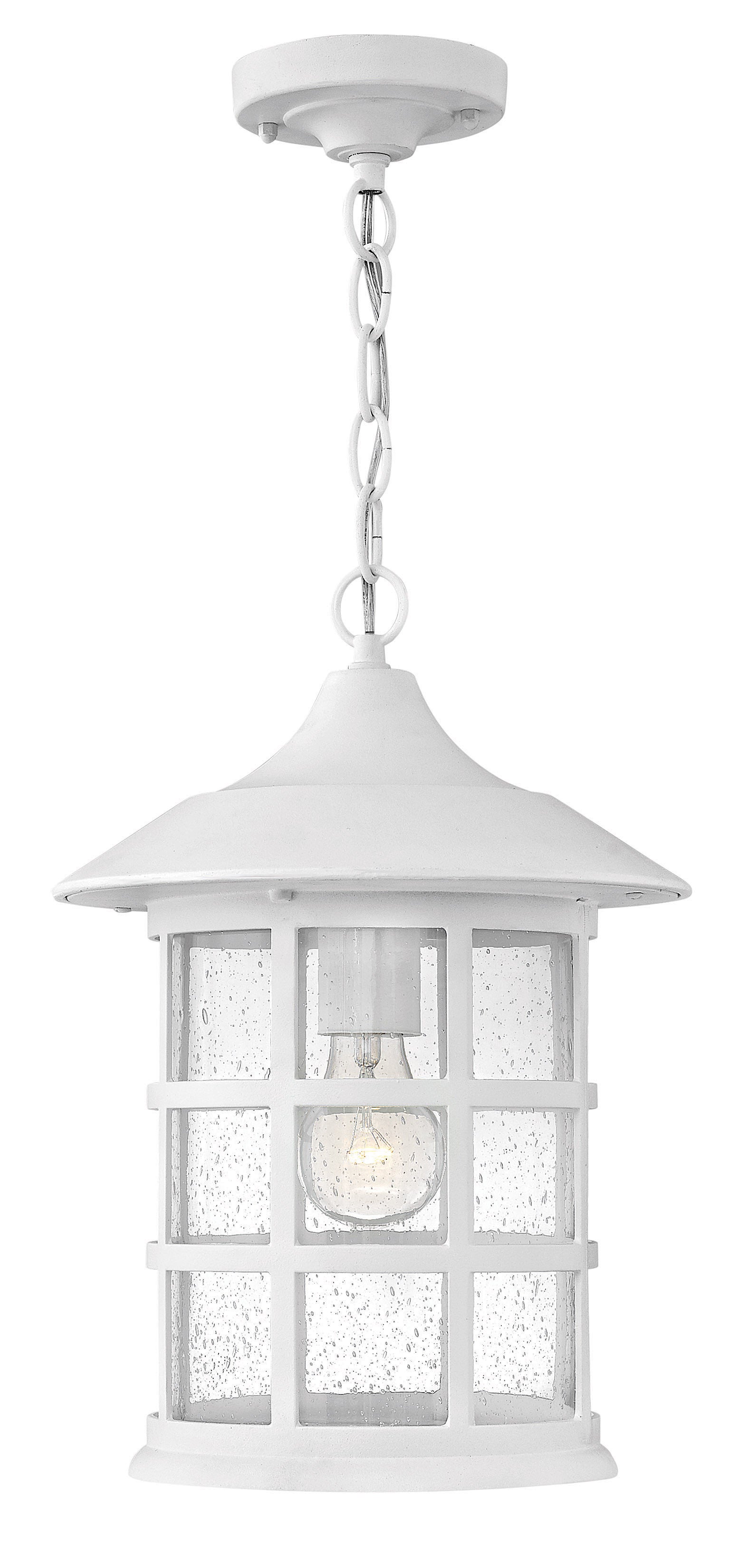 Freeport Coastal Elements Medium Hanging Lantern