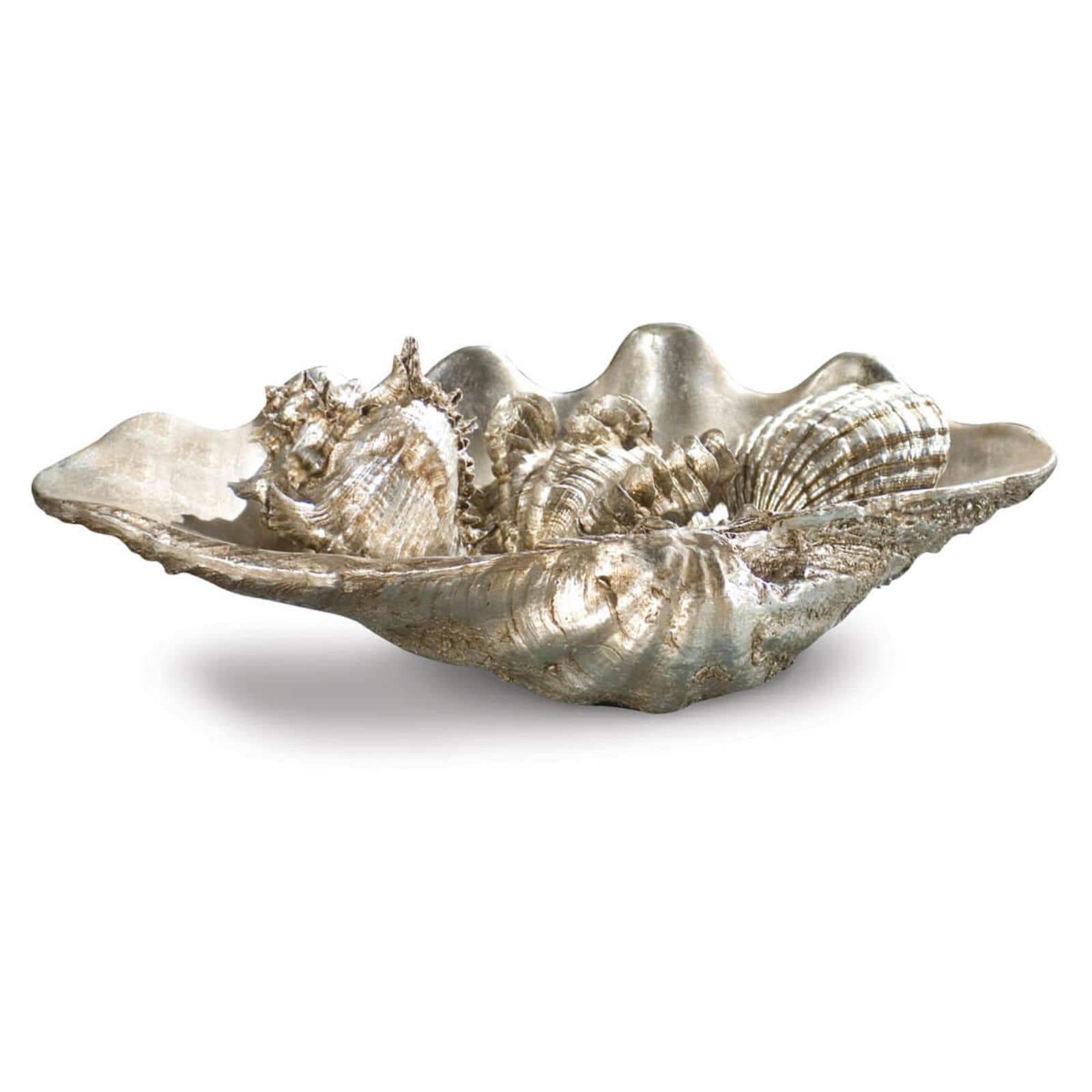 Clam Shell Medium