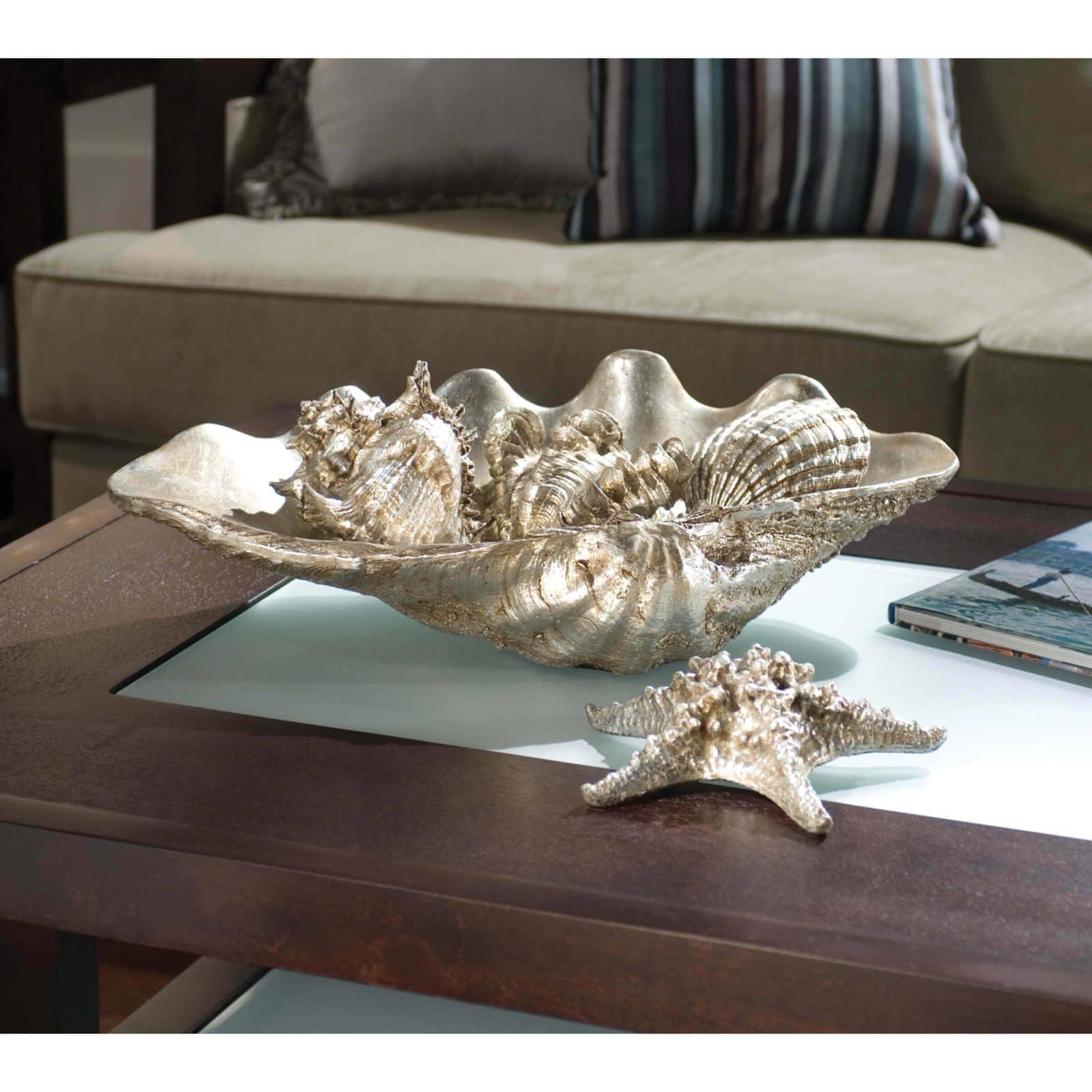 Clam Shell Medium