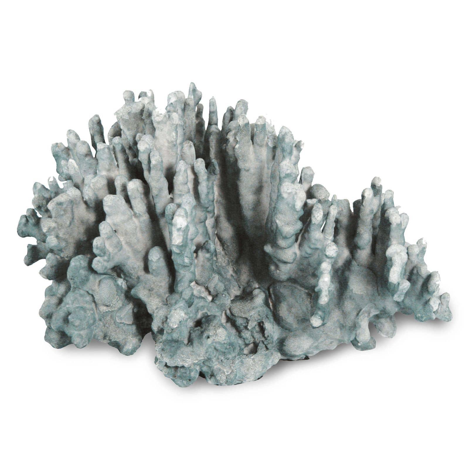 Coral Art Piece
