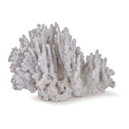 Coral Art Piece