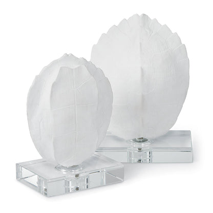 Turtle Shells On Crystal