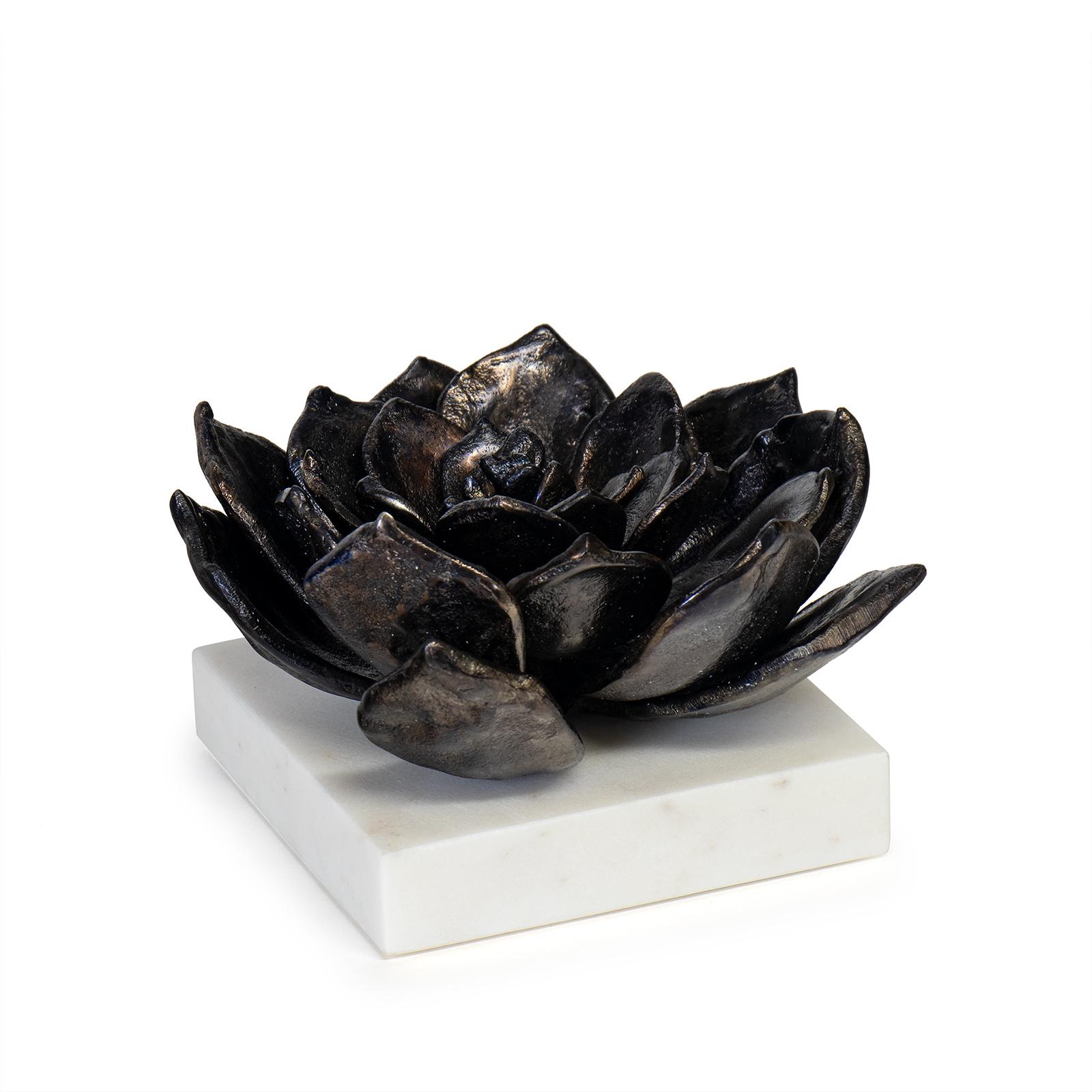 Succulent Sculpture 1