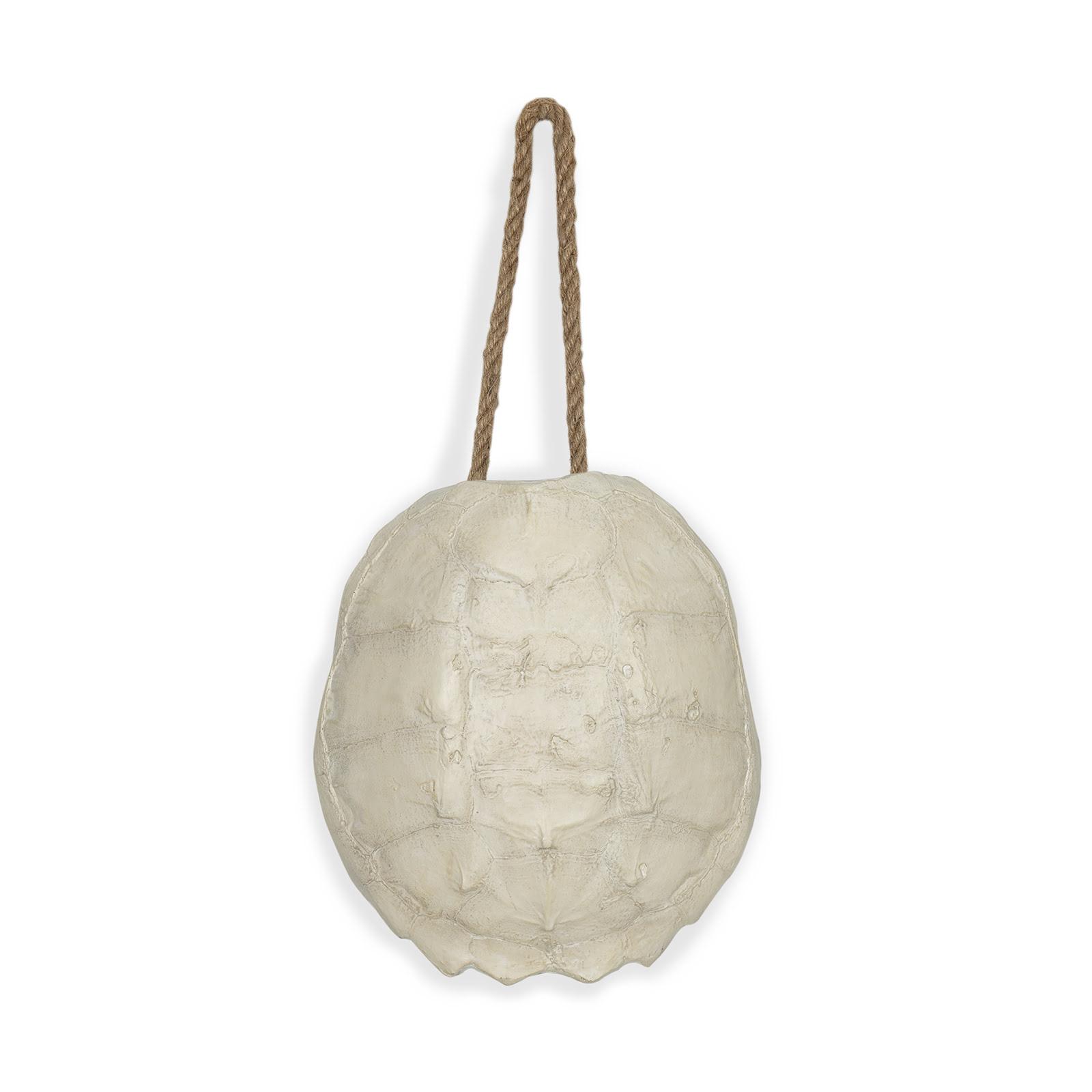 Turtle Shell Accessory