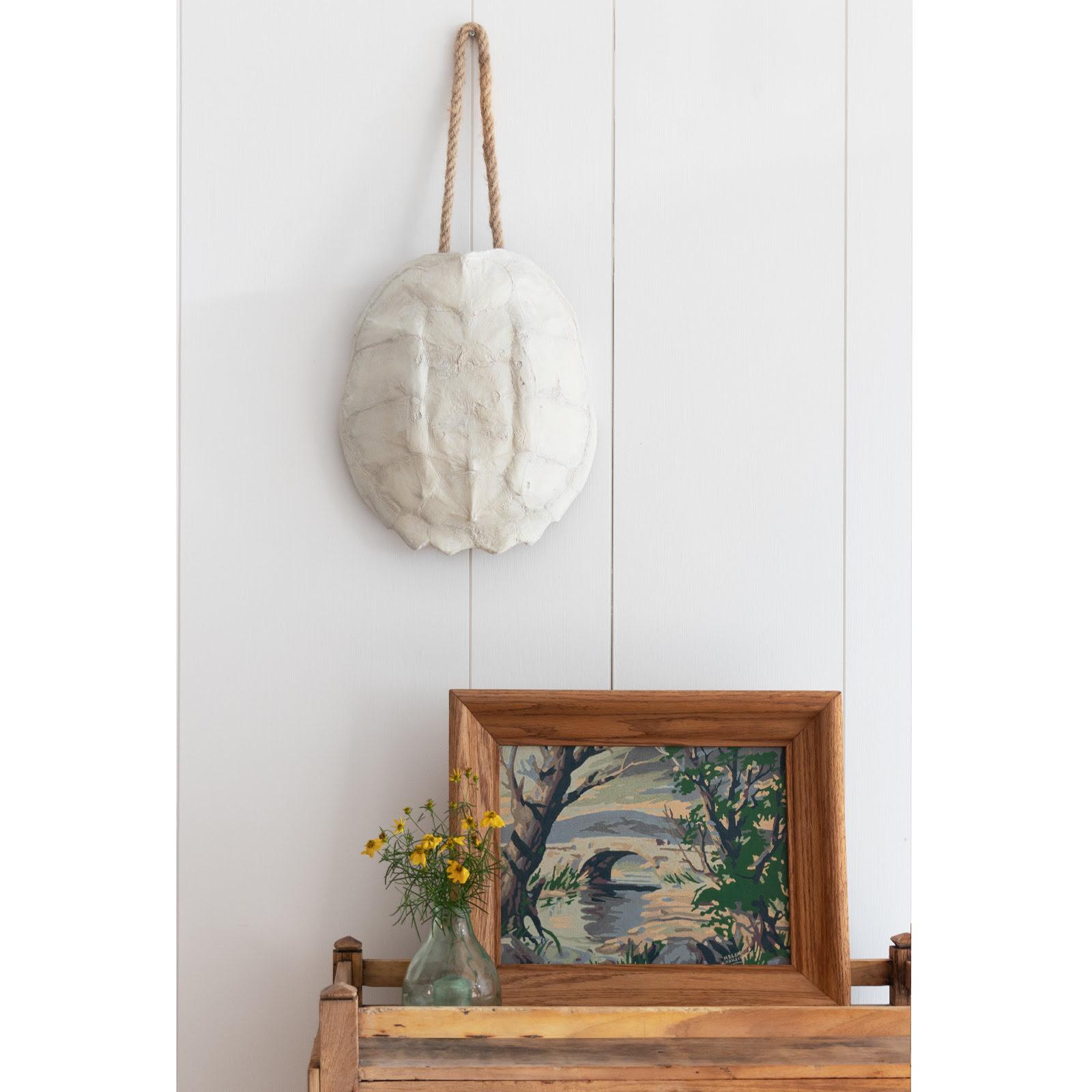 Turtle Shell Accessory