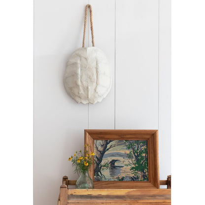 Turtle Shell Accessory