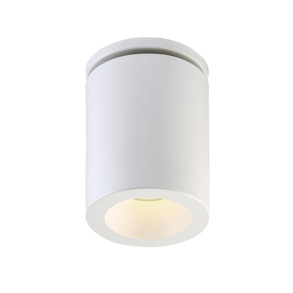 Lotus Flush Mount