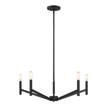 Vector Chandelier
