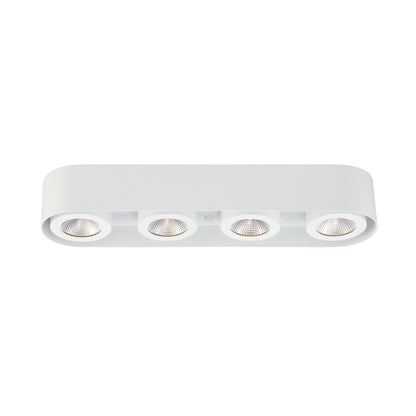 Nymark Flush Mount