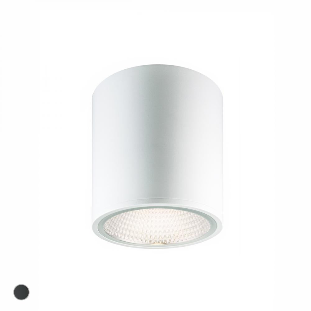Cask Flush Mount