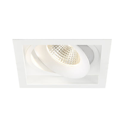 Amigo Recessed Light