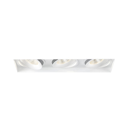 Amigo Recessed Light