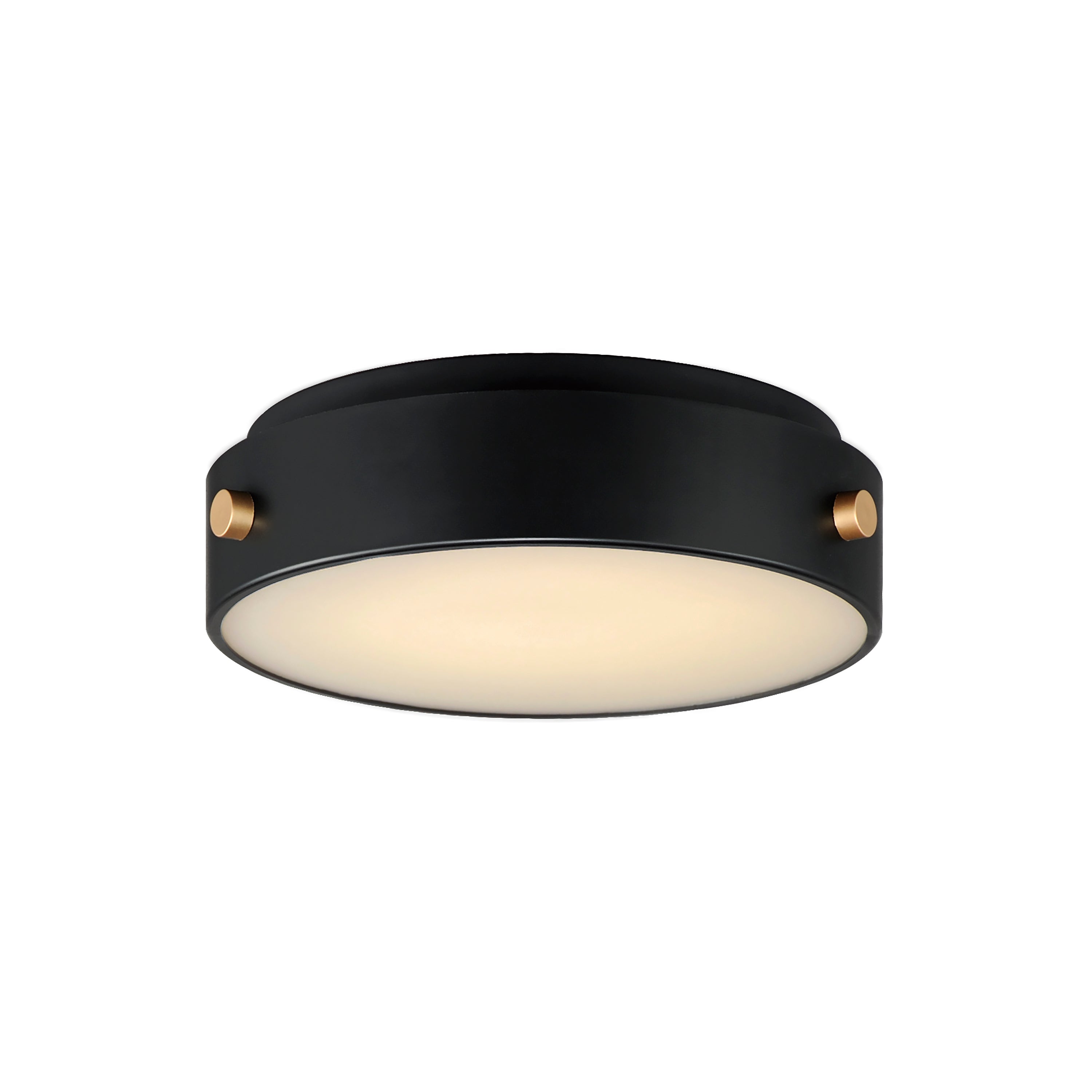 Rivet Outdoor Flush Mount