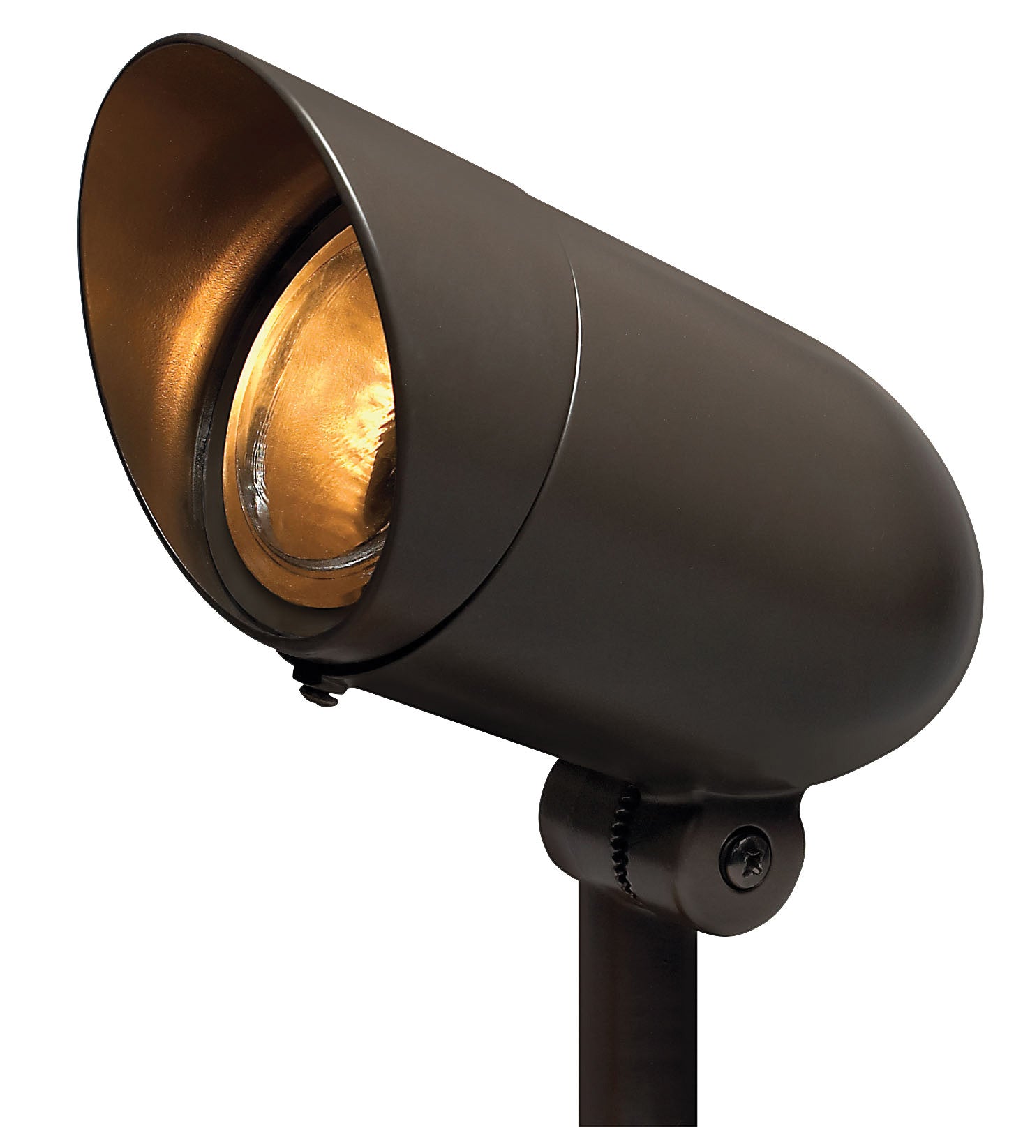 Accent Spot Light Small 120v Spot Light