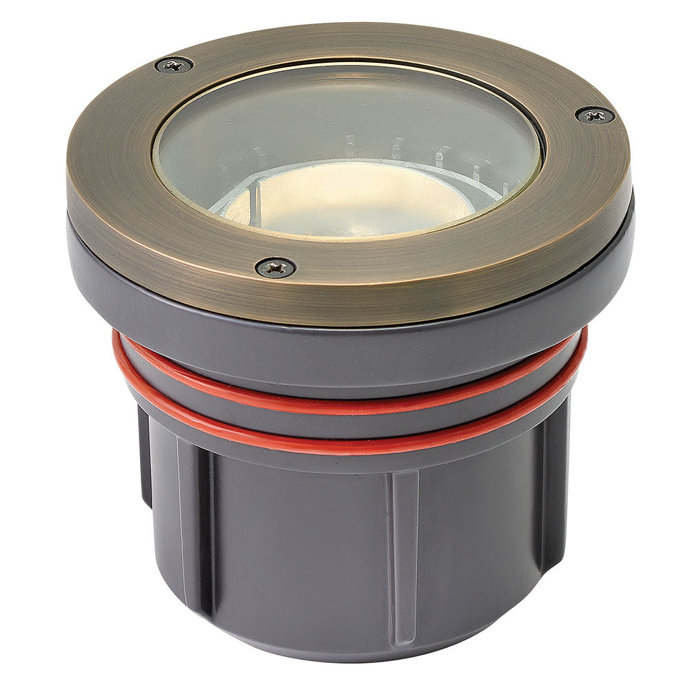 Well Light Hardy Island LumaCORE 120V