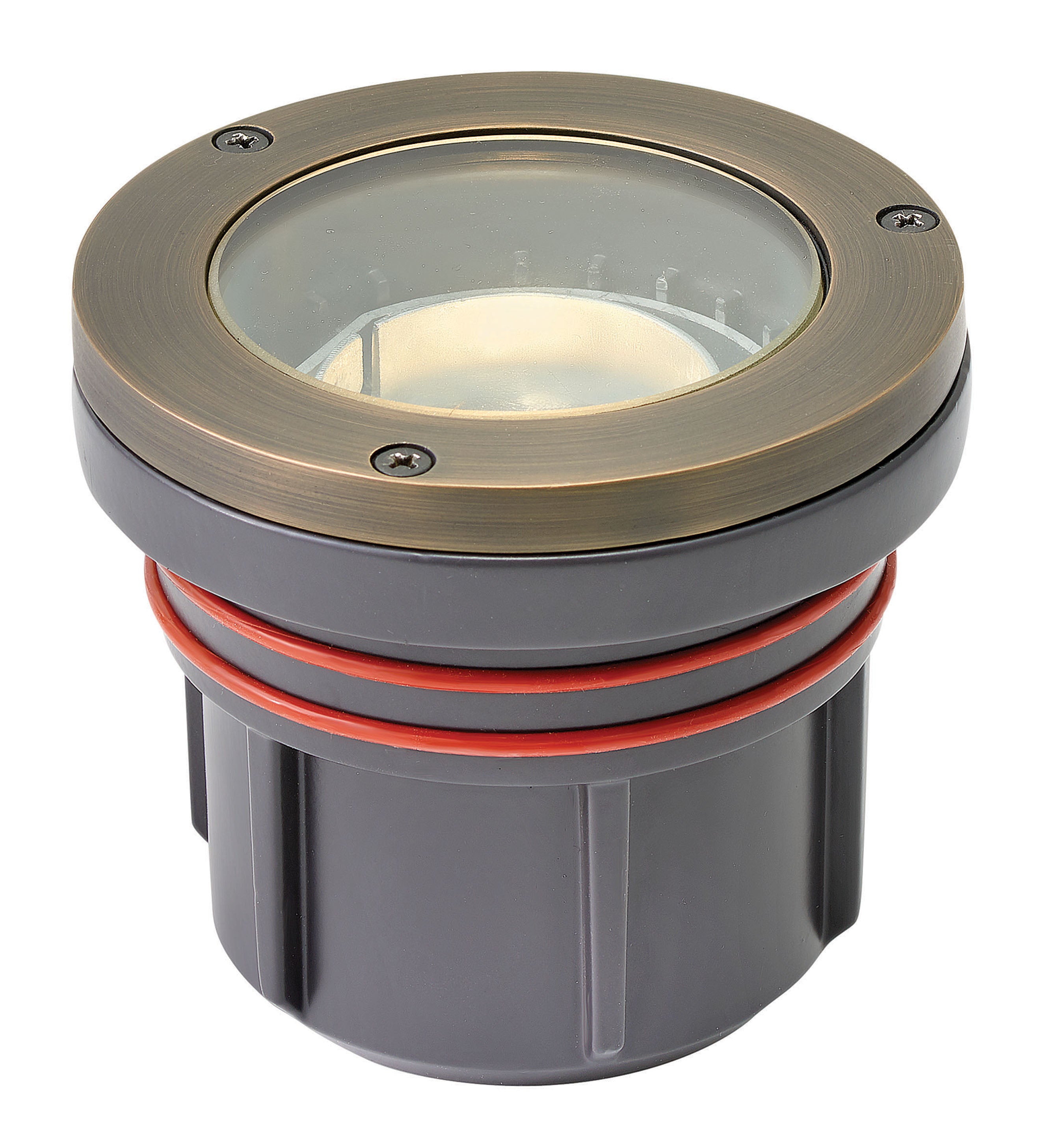 Well Light Hardy Island LumaCORE 120V