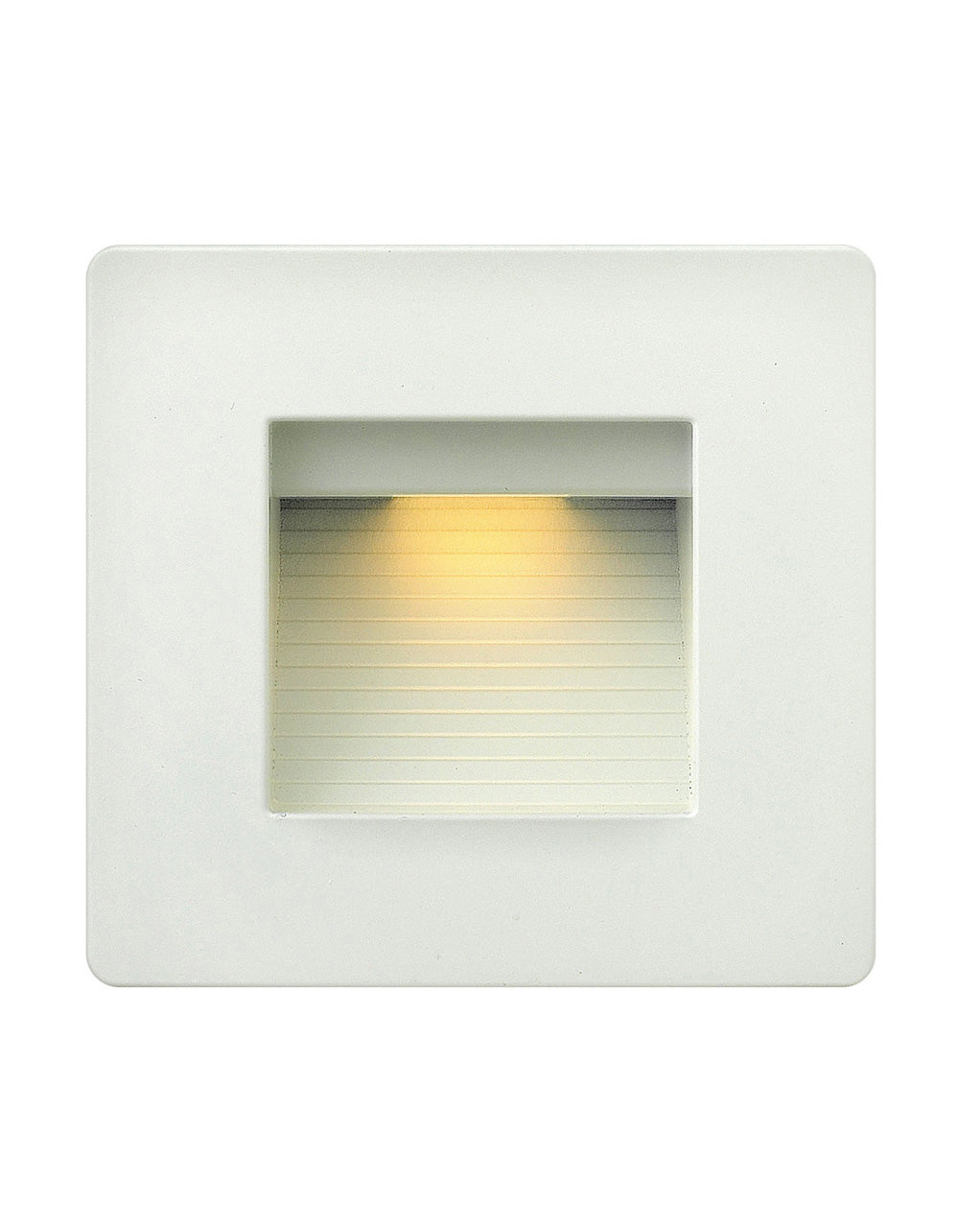 Luna LED 3000K Step Light 120v Horizontal Double Gang
