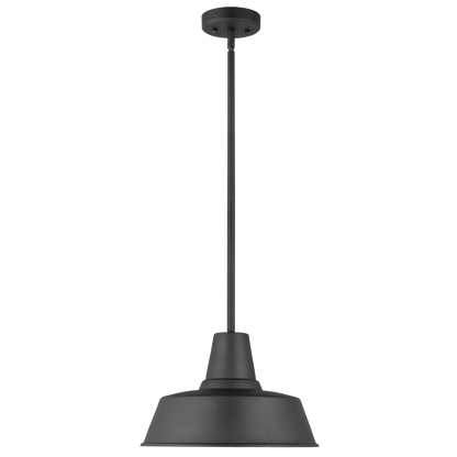 Barn Light Outdoor Pendant