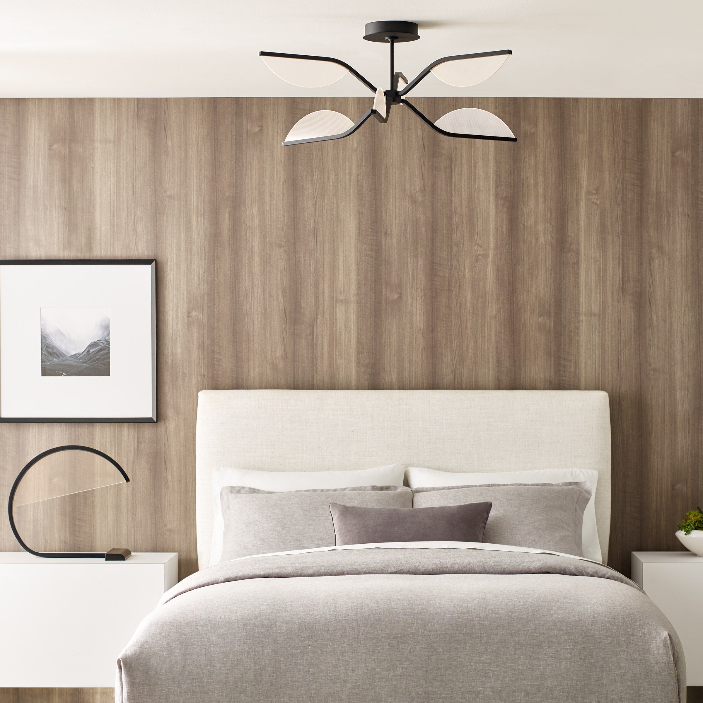 Belterra Flushmount/Chandelier