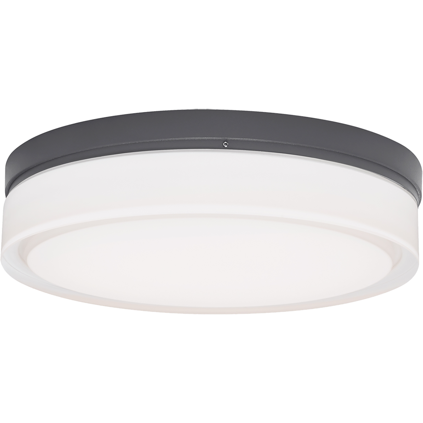 Cirque Outdoor Wall/Flush Mount