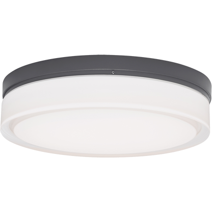 Cirque Outdoor Wall/Flush Mount