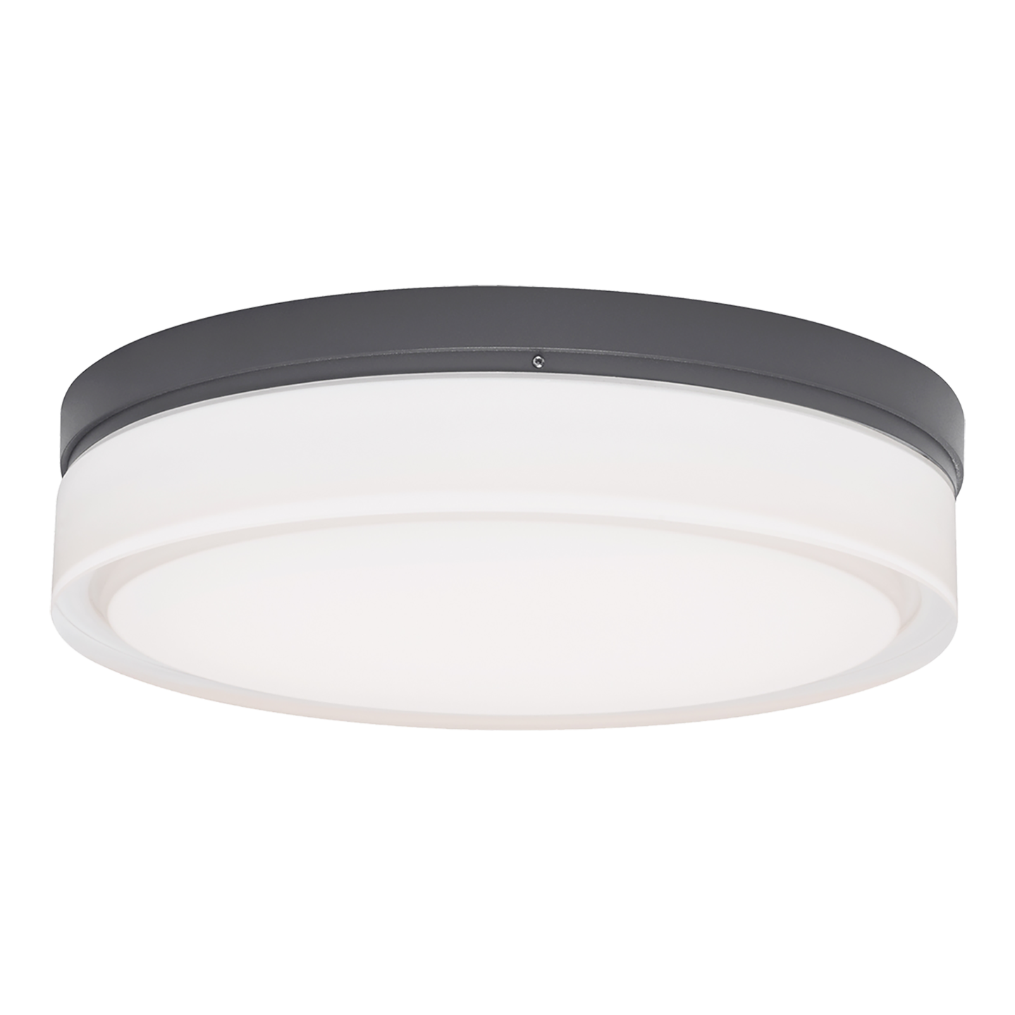 Cirque Outdoor Wall/Flush Mount