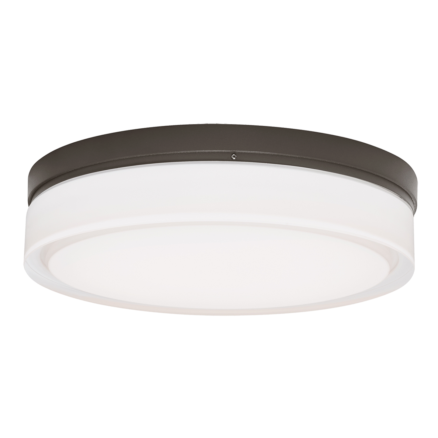 Cirque Outdoor Wall/Flush Mount